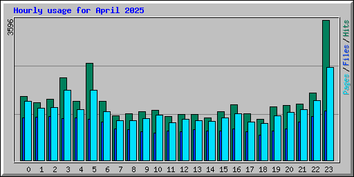 Hourly usage for April 2025