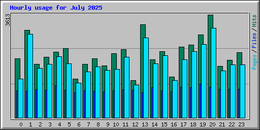 Hourly usage for July 2025