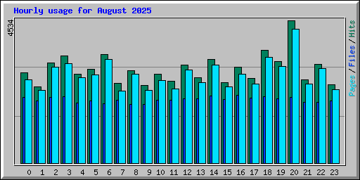 Hourly usage for August 2025