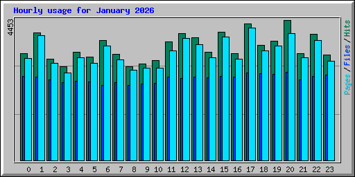Hourly usage for January 2026